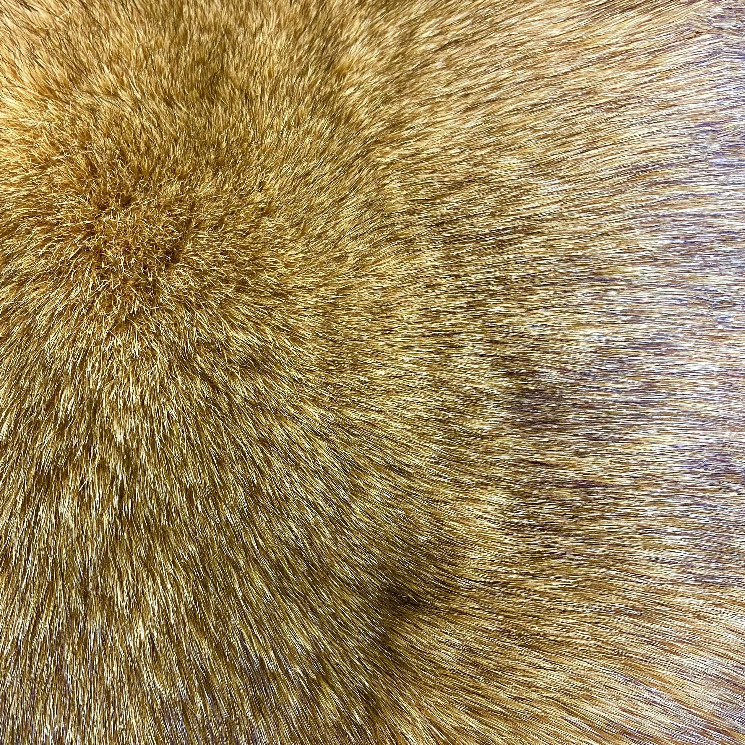 Dyed Norweigan Blue Fox Fur - Klondike Gold