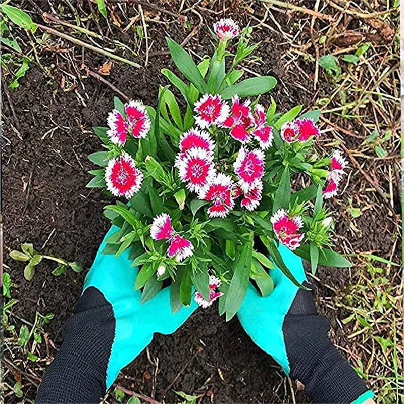 Garden Gloves with Claws - Garden Claws for Digging, Planting, Raking