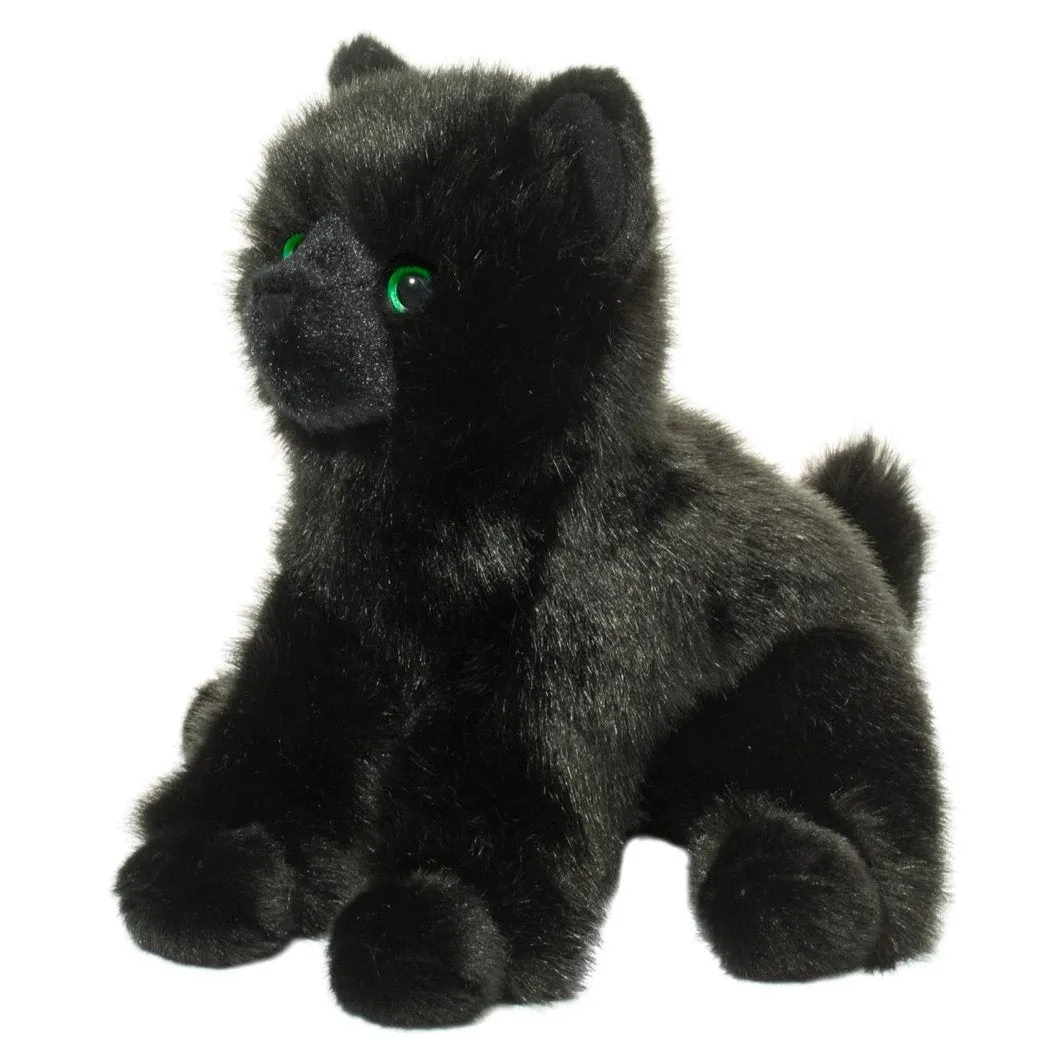 Salem Black Cat