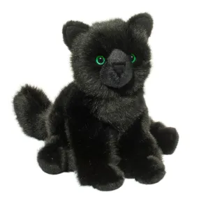 Salem Black Cat